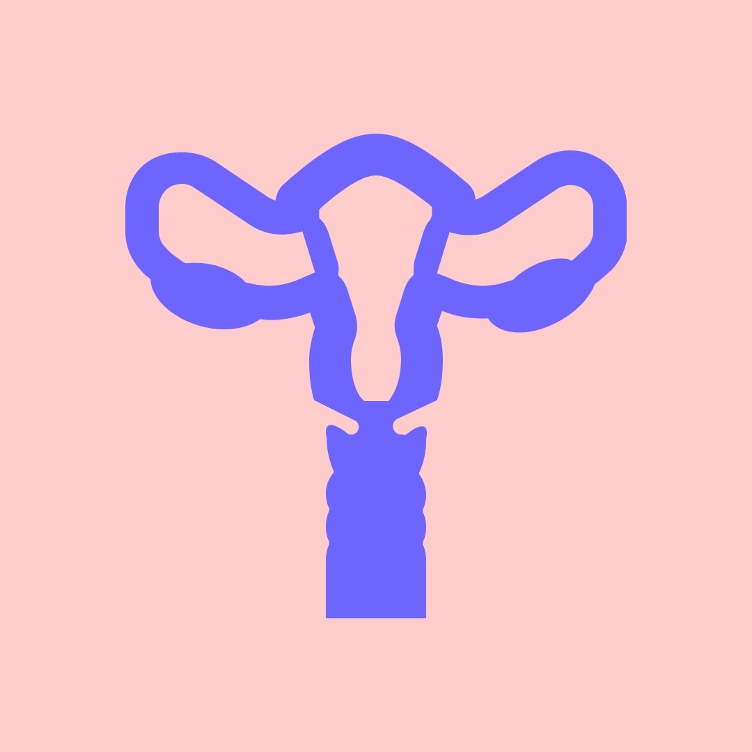 Gynecology গাইনি ডাক্তার